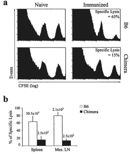 Figure 6.: In vivo CTL cytotoxicity against GP33-41 coated celis in B6 mice and OM—&gt;RAG 1 chimeras afier immunization with DCs