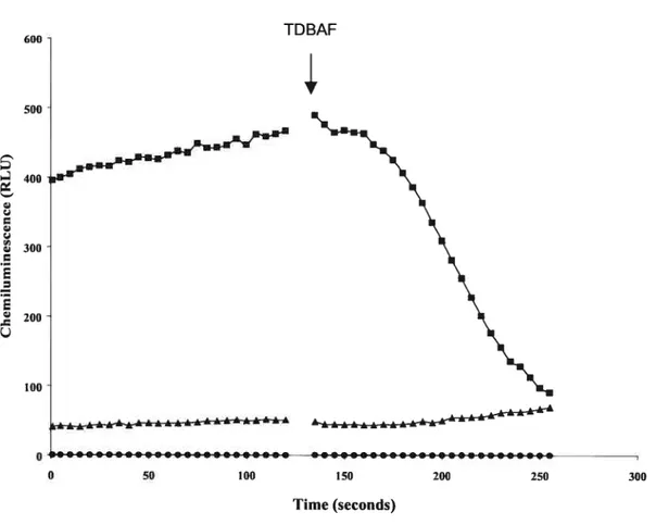 Figure 2: Production of reactive oxygen species by control and TDBAF-treated