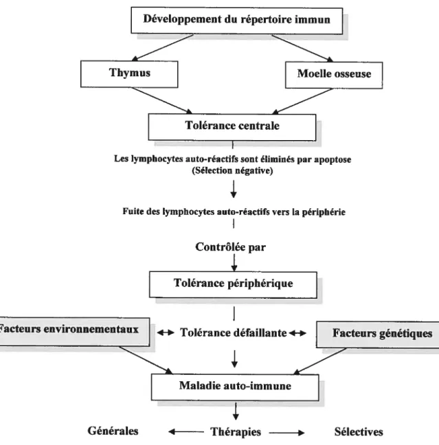 Figure 1: Tolérance centrale et périphérique