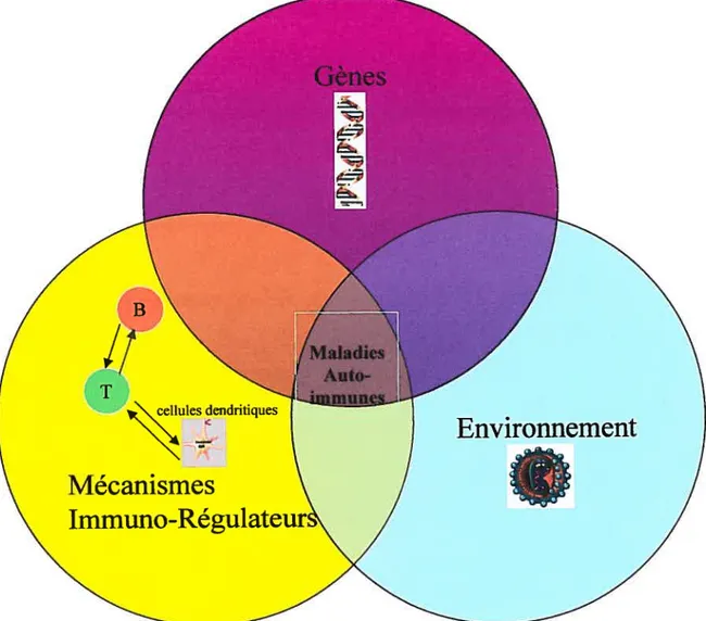 Figure 3: ensemble des facteurs nécessaires pour le développement