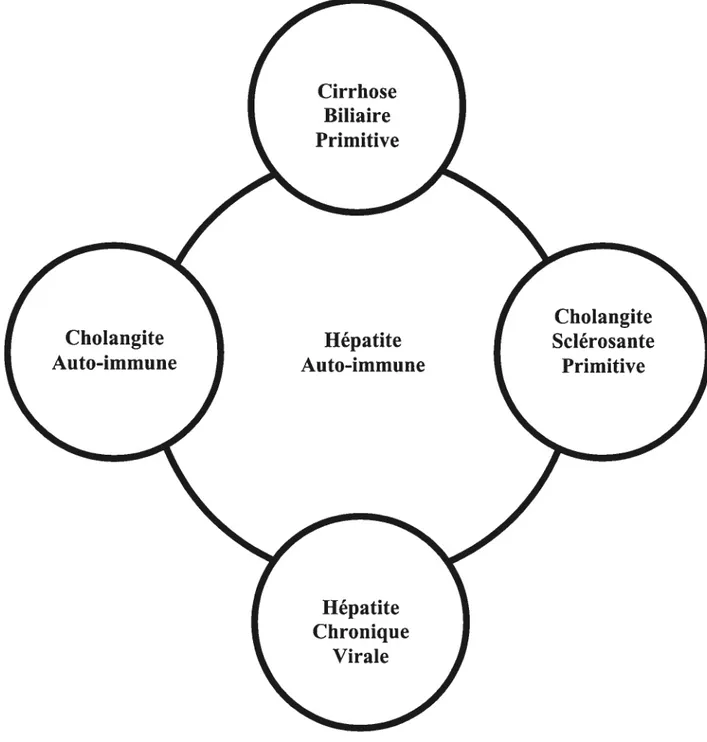 Figure 5 : Les formes frontières de la maladie hépatique. D’après Czaja (Ann. Med. Interne 1996; 125 : 58$-59$)