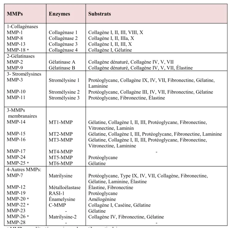 Tableau 2: Classification des MMPs (Adapté de (Davidson et al., 2006; Ishiguro et al.,  2002)