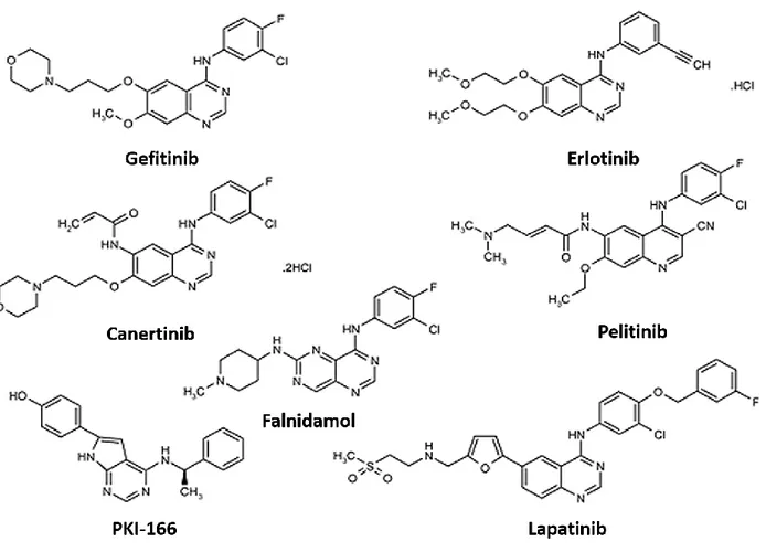 Figure 4. Chemical structures of EGFR tyrosine kinase inhibitors 