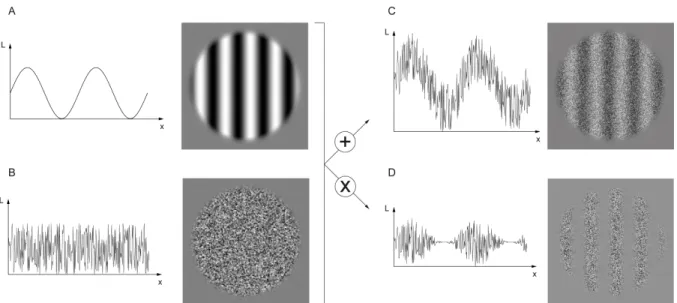 Figure 1. Exemples de stimuli de 1 er  et de 2 d  ordre. 