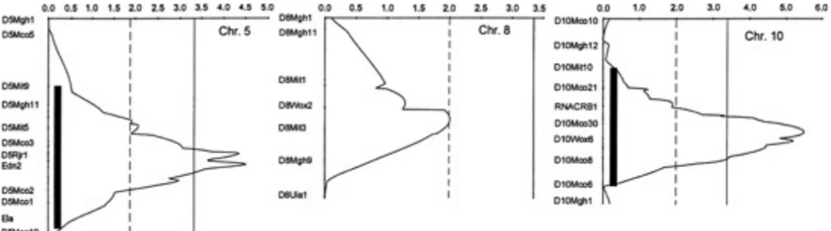 Figure 6: Exemple d’études de liaison pour les chromosomes 5, 8 et 10  