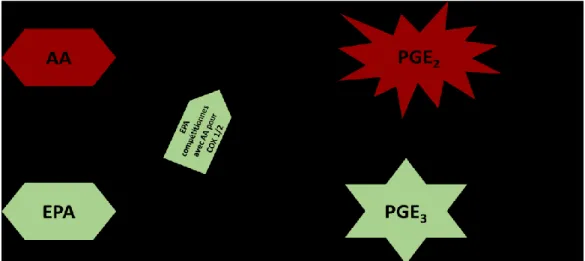 Figure 6: EPA inhibe de manière compétitive la formation de PGE2 par la COX-1 et COX-2