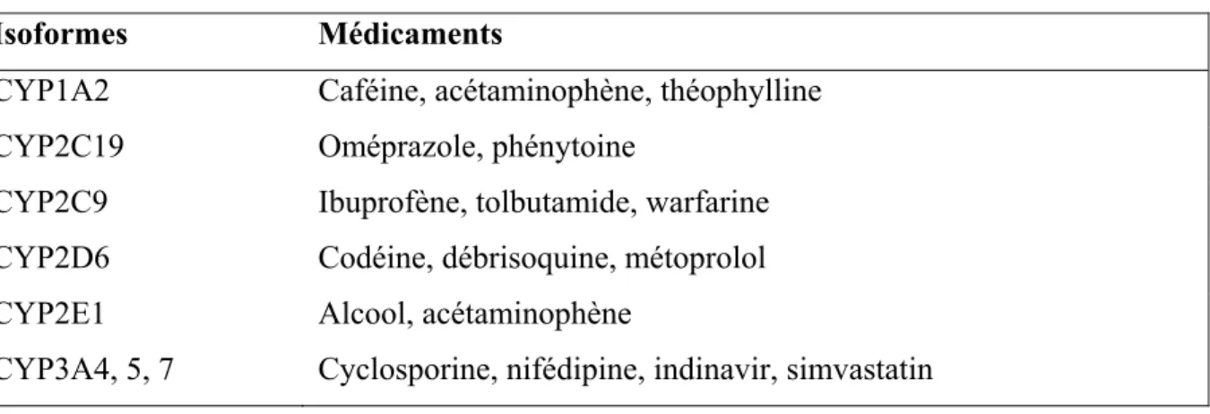 Tableau 1 – Exemples de médicaments métabolisés par les CYP. Source : (19).  1.2.3.2 – Métabolisme de phase II 