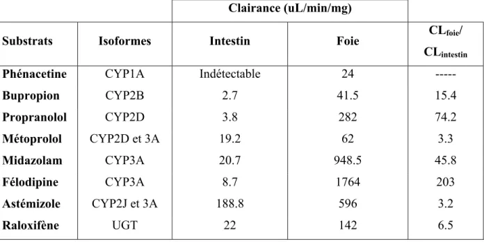 Tableau 5 – Différences quantitatives entre le métabolisme intestinal et hépatique. La  clairance de plusieurs substrats a été déterminée dans des microsomes commerciaux  intestinaux et hépatiques par la méthode de la pente K el 
