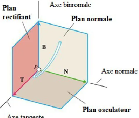 Figure 6 – Les trois axes du trièdre: la normale (N), la binormale (B) et la tangente(T)
