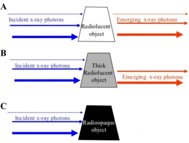 Figure 21 : Atténuation d’un faisceau de photons X avec avec différents niveaux d’énergie  Le faisceau de rayons X est polychromatique : les photons qui le composent ont des degrés d’énergie  différents
