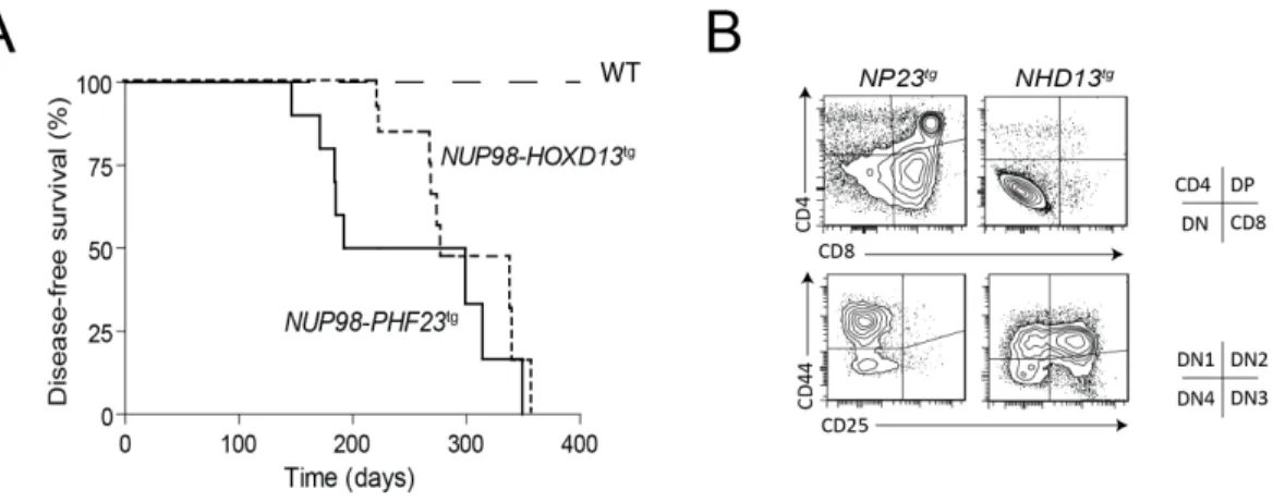 Figure  S1.  NUP98-PHF23  (NP23)  and  NUP98-HOXD13  (NHD13)  fusion  genes  induce  acute leukemias in mice