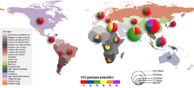 Figure 1.1: HCV Genotype Prevalence by WHO GBD Region  