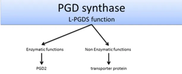 Figure 5: L-PGDS function. 