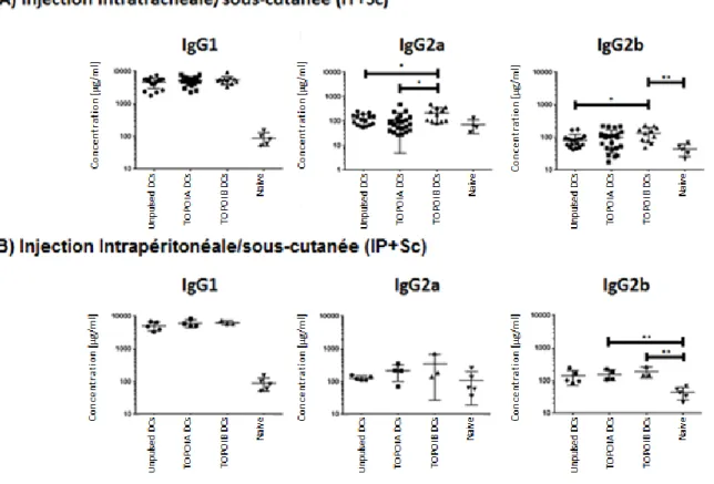 Figure 3.  Quantification  de  la  réponse  d’anticorps  polyclonale  comparant  l’immunisation  par  voie  intratrachéale/sous-cutanée  (IT+Sc)  versus  la  voie  intrapéritonéale/sous-cutanée  (IP+Sc)  des  souris  sacrifiées  à  la  12 e   semaine 
