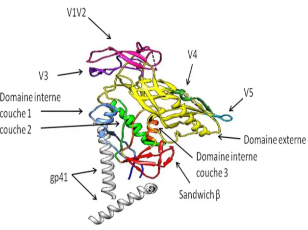 Figure  4  Schéma   d'une  sous-unité   de   la   gp120   et   de  la   gp41   de   la   construction   BG505