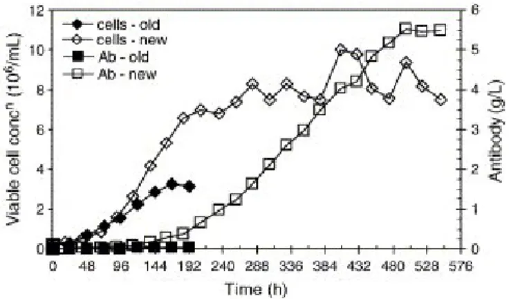 Figure  3 :  Augmentation  de  la  densité  cellulaire  dans  les  cultures  par  l’optimisation  des 