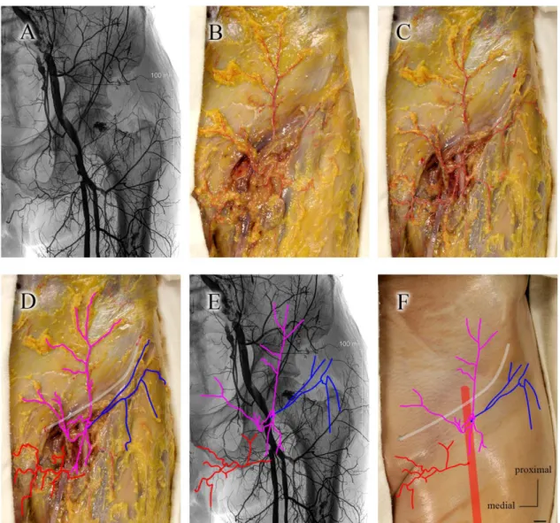 Figure 2.2: Illustration of the method used in this study.  