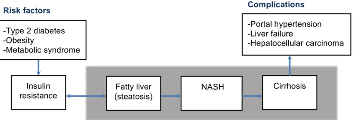 Figure 2.1: Pathophysiology, risk factors and potential complications of NAFLD  The  main  stages  of  NAFLD  (i.e