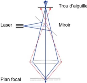 Figure	 5	 -	 Schéma	 représentant	 le	 principe	 de	 la	 microscopie	 confocale	 (Adapté	 de	 http://li155-94.members.linode.com/myscope/confocal/confocal/) .		