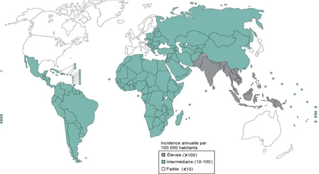 Figure 1. Distribution géographique de l’incidence des cas de fièvre typhoïde.  
