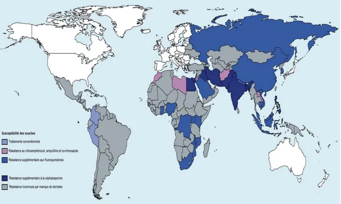 Figure 6 : Distribution géographique de la résistance aux antibiotiques couramment utilisés dans le  traitement de la fièvre typhoïde