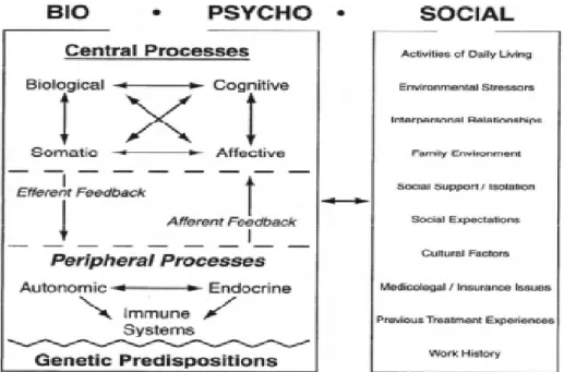 Figure 1. Modèle conceptuel proposé par Gatchel et coll. (2004) pour illustrer le processus  interactif biopsychosocial impliqué dans la douleur chronique non cancéreuse : (American  Psychologist, 2004, 59, 792-805) [38]
