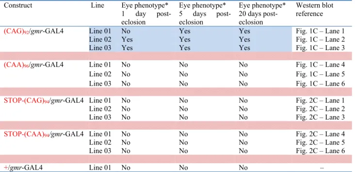 Table 2.S.1:   Transgenic Drosophila lines 