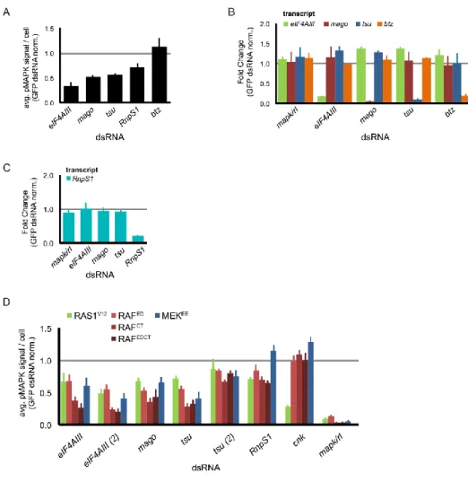 Figure  S2.1  Nuclear  EJC  components  functionally  impact  RTK/RAS1/MAPK  signaling  downstream of MEK