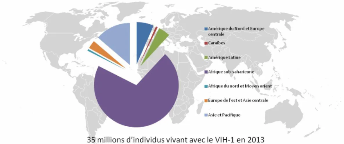 Figure 1. Prévalence mondiale du VIH-1 en 2013.   Source (ONUSIDA 2014).  