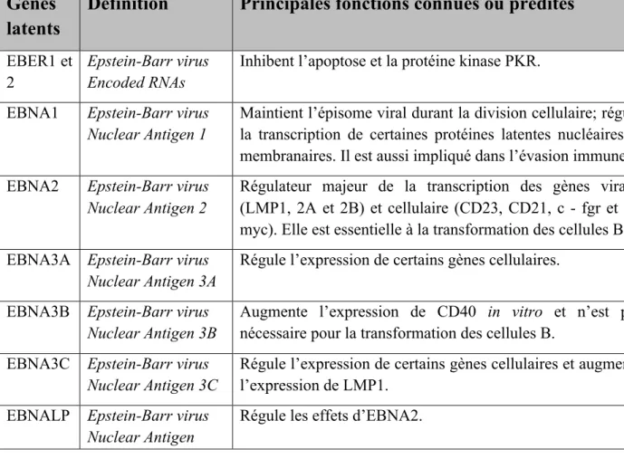 Tableau I : Principales fonctions des douze gènes latents codés par le VEB (adapté de Resk et  Weiss