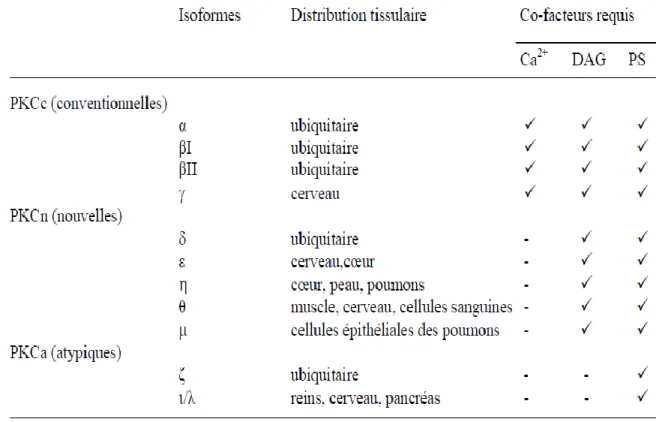 Tableau 3.1: Distribution tissulaire et facteurs d’activation requis pour les PKCs (Idris, Gray et  al
