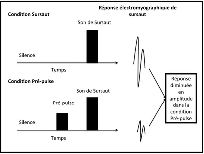 Figure  1.  Paradigme  d’inhibition  de  la  réponse  acoustique  de  sursaut  par  le  pré-pulse