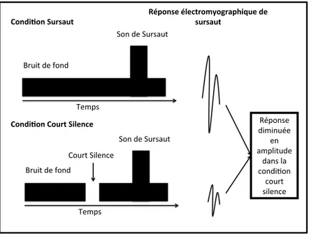 Figure 2. Paradigme d’inhibition de la réponse acoustique de sursaut par un court silence