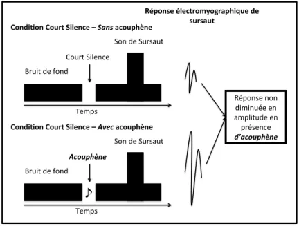 Figure 3. Paradigme d’inhibition de la réponse acoustique de sursaut par un court silence  appliqué à l’acouphène