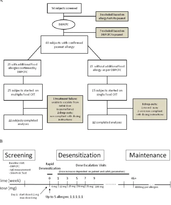 Figure 3.1: OIT trial design including (A) screening and trial flow chart and (B) immunotherapy  protocol timeline