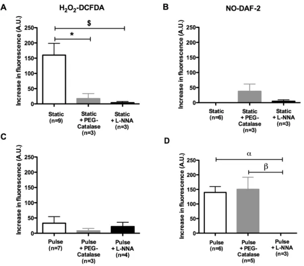 Figure 4. Effects of SP (A,B) and PP (C,D) on DCFDA-associated fluorescence (H202; A,C)  and DAF2-associated fluorescence (NO; B,D) during FMD (20 dyn/cm 2 ) in pressurized (60 