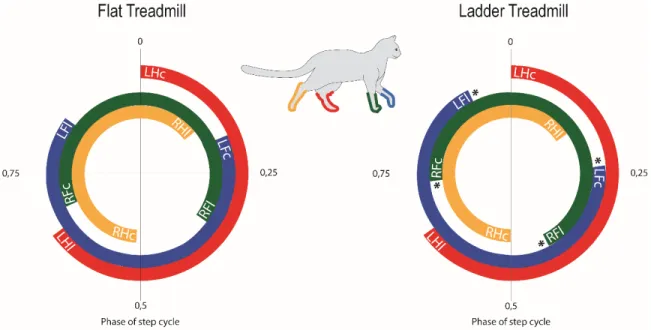 Fig. 5 Polar representation of interlimb coupling during flat treadmill (FTM) locomotion 