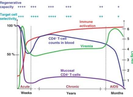 Figure 4. Caractéristiques cliniques des différentes phases de la pathogénèse de l’infection à  VIH-1