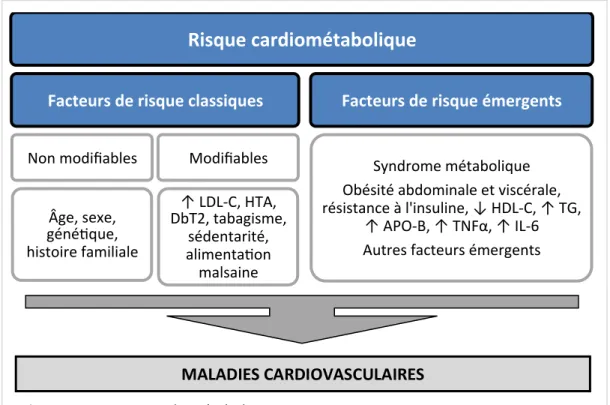 Figure	
  3.	
  Le	
  risque	
  cardiométabolique	
  