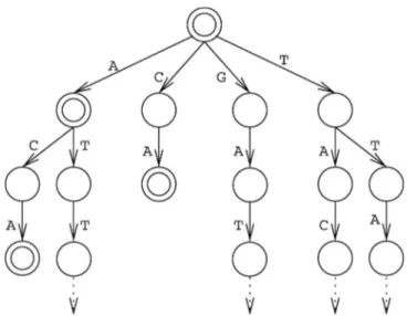 Figure  1-5.  Arbre  à  suffixe  représentant  la  séquence  GATTACA.  Les  cercles  doubles  indiquent  la  fin  d’un  suffixe  (Schbath  et  al.,  2012),  et  les  flèches  en  pointillés  dénotent  la  continuation  de  l’arbre  à  cet  emplacement