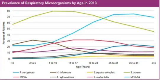 FIGURE  8.  Prévalence  des  microorganismes  présents  dans  les  voies  aériennes  des  patients FK en 2013