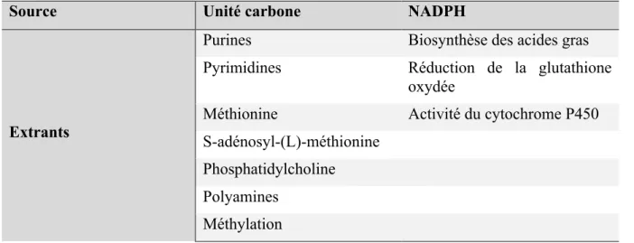 Tableau I. Extrants du métabolisme du carbone selon leur provenance 