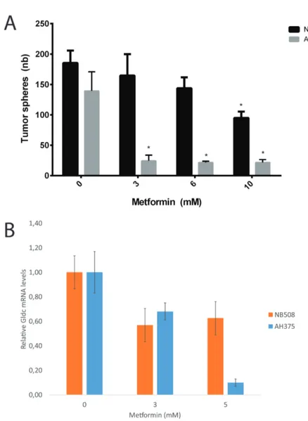 Figure  2.  Metformin  treatment  reduces  tumor  sphere  formation  and  glycine 