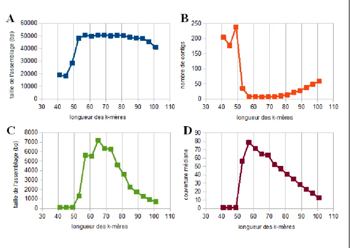 Figure 4. Impact de la variation de la longueur des k-mères sur l'assemblage du génome 