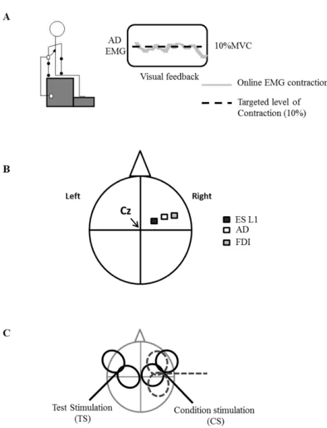 Figure 1: Experimental setup. A; Example of the isometric shoulder flexion  task  where 