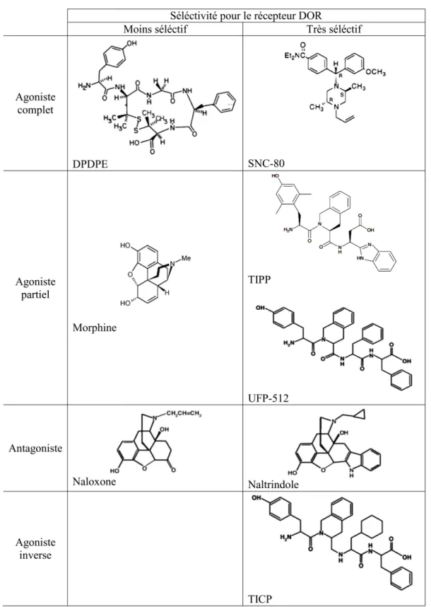 Figure 4. Structure des ligands opioïdes sélectionnés pour être utilisés dans nos études