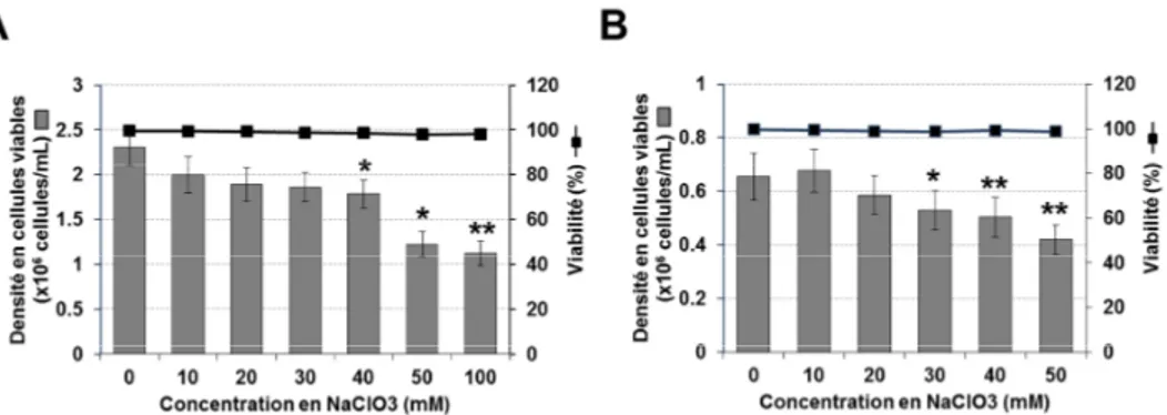Figure V-11. Influence de la concentration en NaClO 3  sur la densité et la viabilité  cellulaire