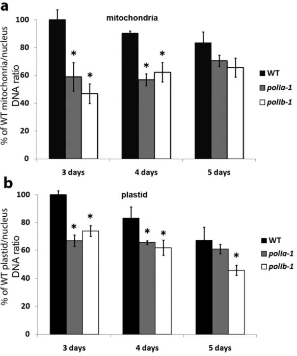 Figure 25. Organelle DNA is less abundant in seedlings of polIa-1 and polIb-1 mutants