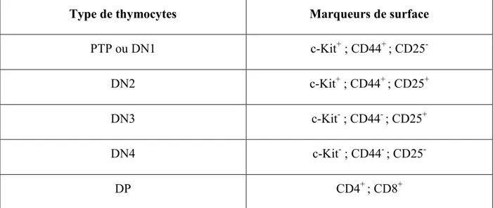 Tableau I : Liste des marqueurs de surface caractéristiques de chaque stade de différenciation  des thymocytes ou progéniteurs de cellules T