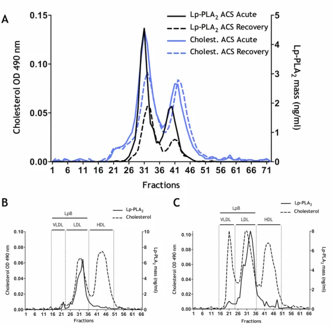 Figure 3. Distribution of Lp-PLA 2 mass. (A) Lp-PLA2 and cholesterol mass assays performed  after HPLC separation of pooled plasma samples from ACS acute (n = 24) and ACS recovery  (n = 24)
